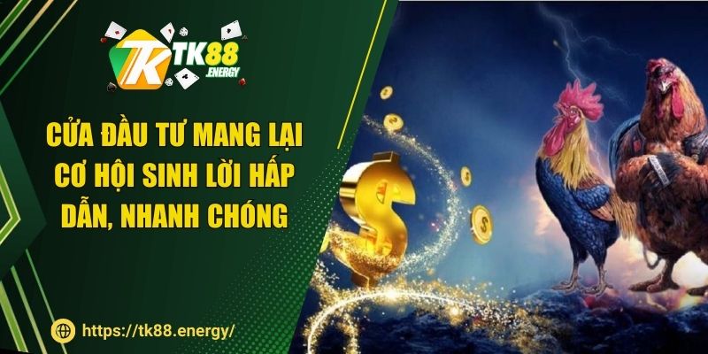 Cửa đầu tư mang lại cơ hội sinh lời hấp dẫn, nhanh chóng