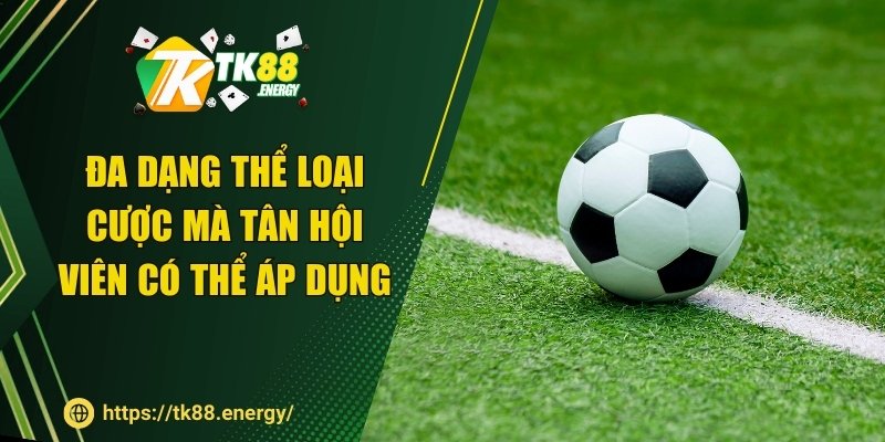 Đa dạng thể loại cược mà tân hội viên có thể áp dụng