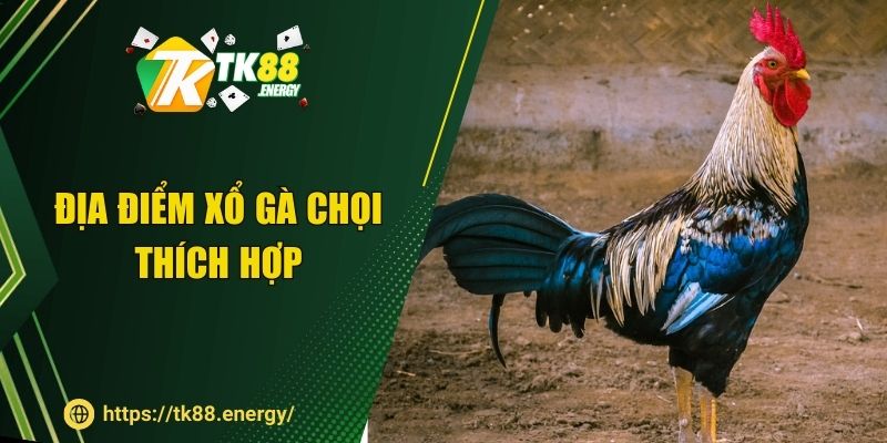 Địa điểm xổ gà chọi thích hợp 