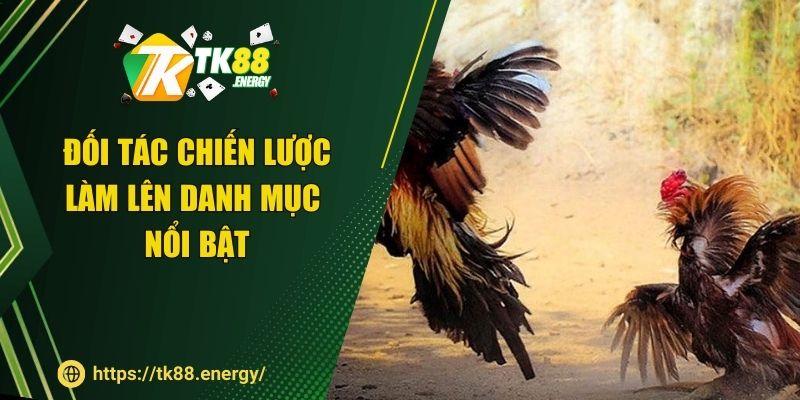 Đối tác chiến lược làm lên danh mục nổi bật