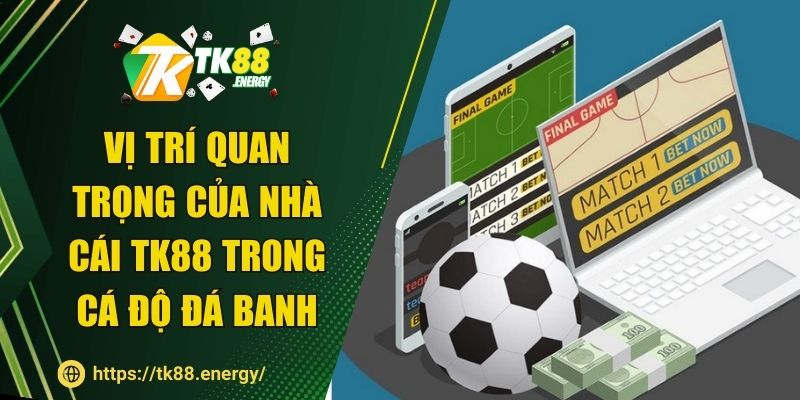 Vị trí quan trọng của nhà cái TK88 trong cá độ đá banh